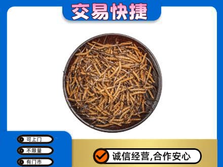 伊春市大箐山高价回收散虫草